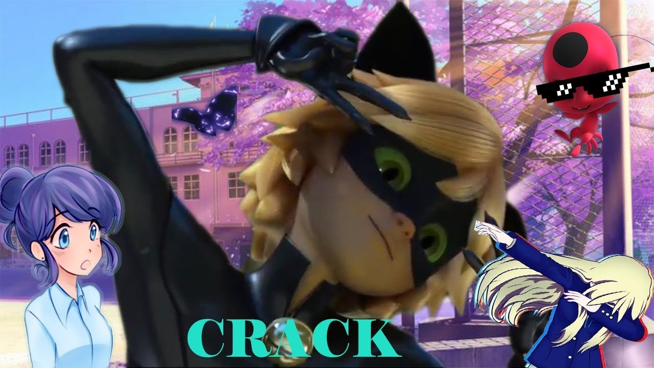 Приколы ЛедиБаг и Супер-Кот №1/CRACK / Miraculous Ladybug and Cat Noir