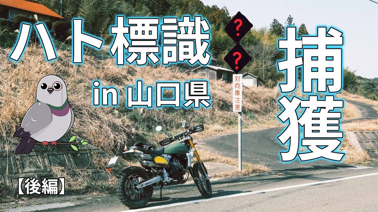 【珍標識】ハト標識を探す旅（後編）│ Fantic CABALLERO Rally 500