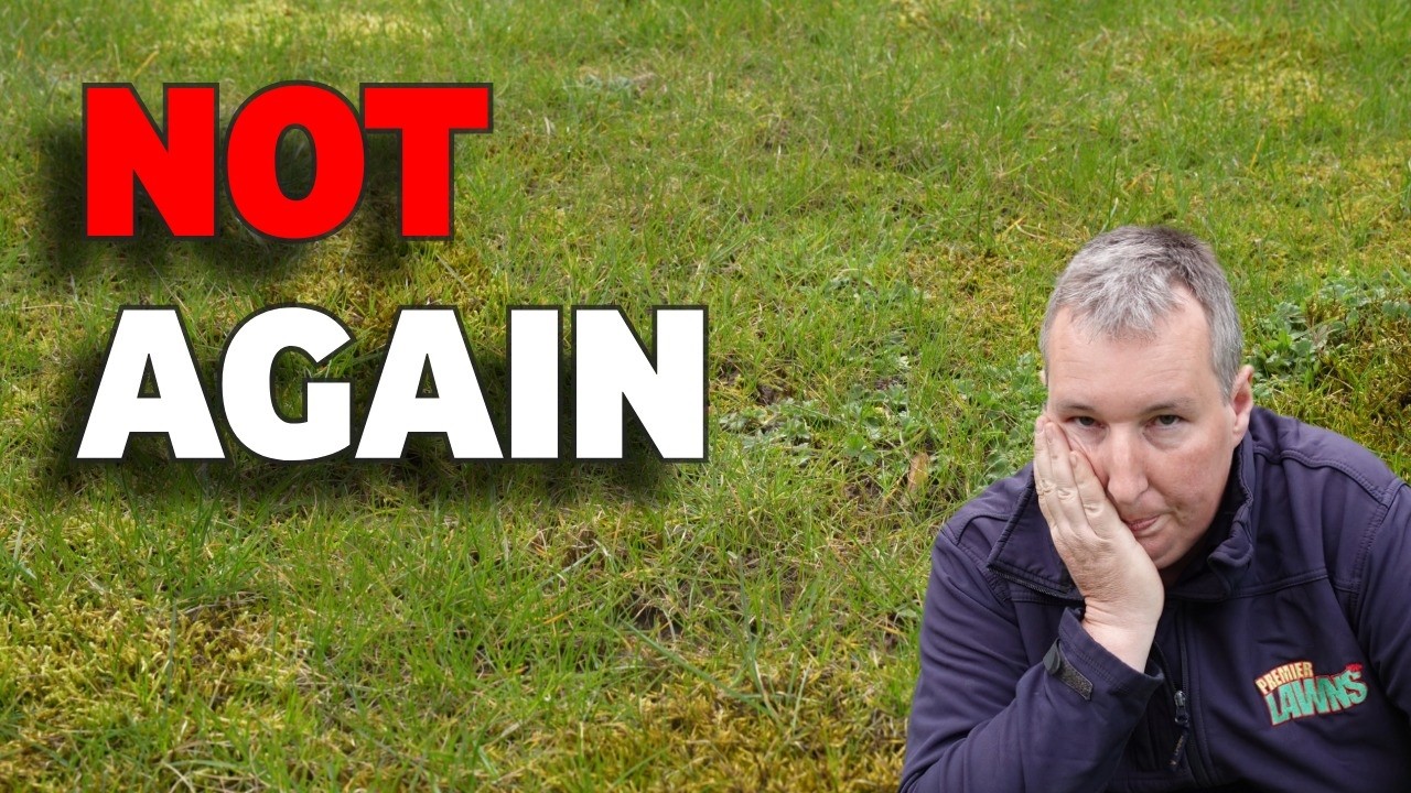 Is Your Lawn a Thin, Patchy Mess After this Winter? Start the Recovery Plan Today!