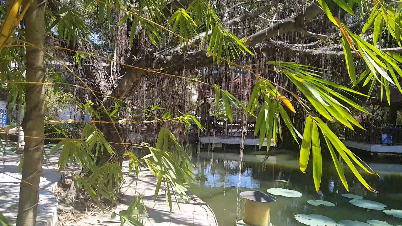 베트남 시골풍경