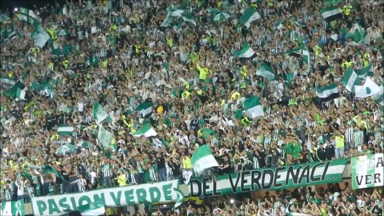 LOS MEJORES CÁNTICOS DE LOS DEL SUR 🔥