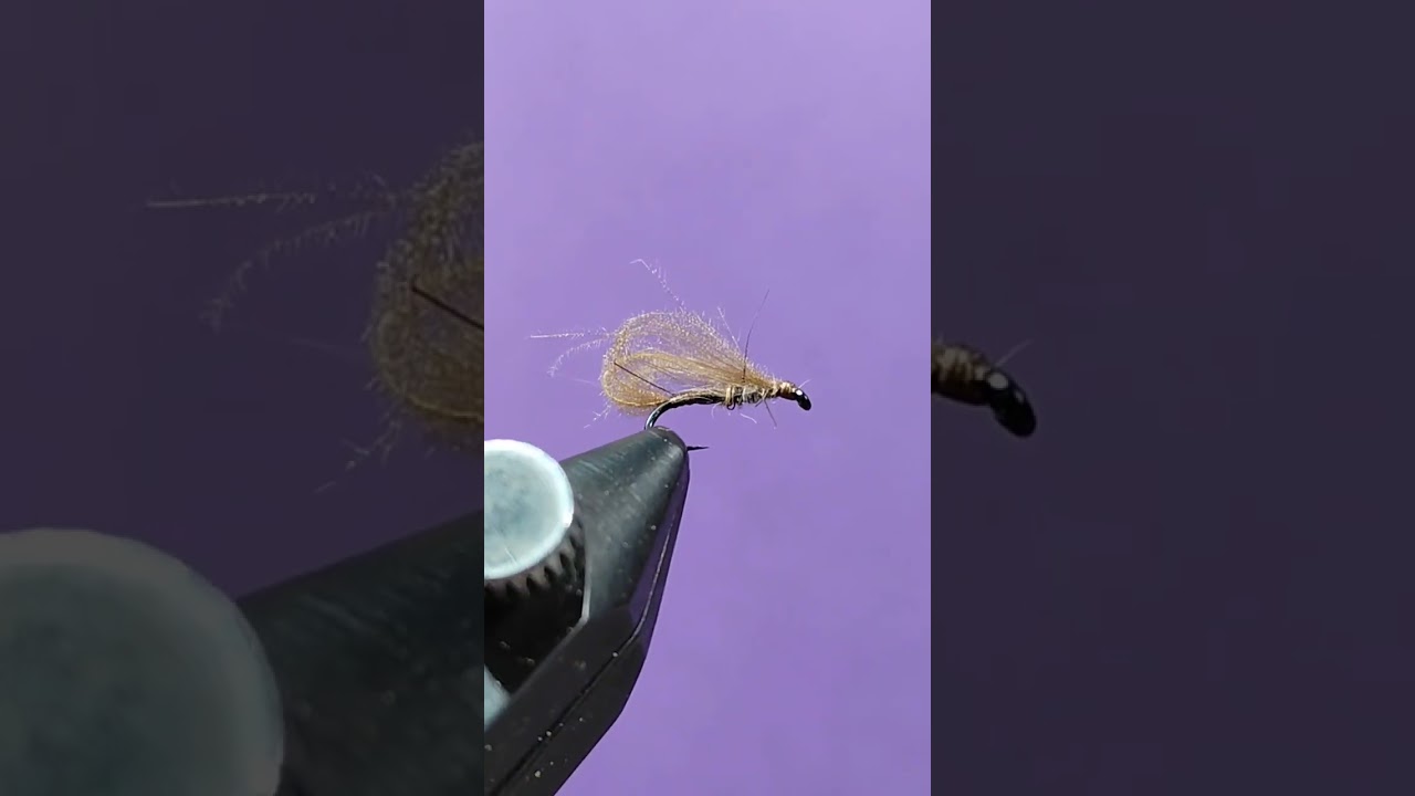 Micro sedge da bollata, amo del 20 #flytying #flyfishing #sedge #textreme #textremeadict