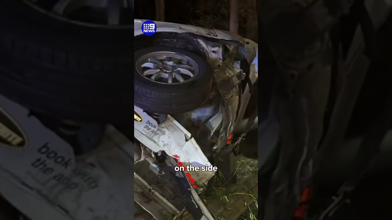 Reckless stolen car rampage ends in stranger&rsquo;s pool | 9 News Australia