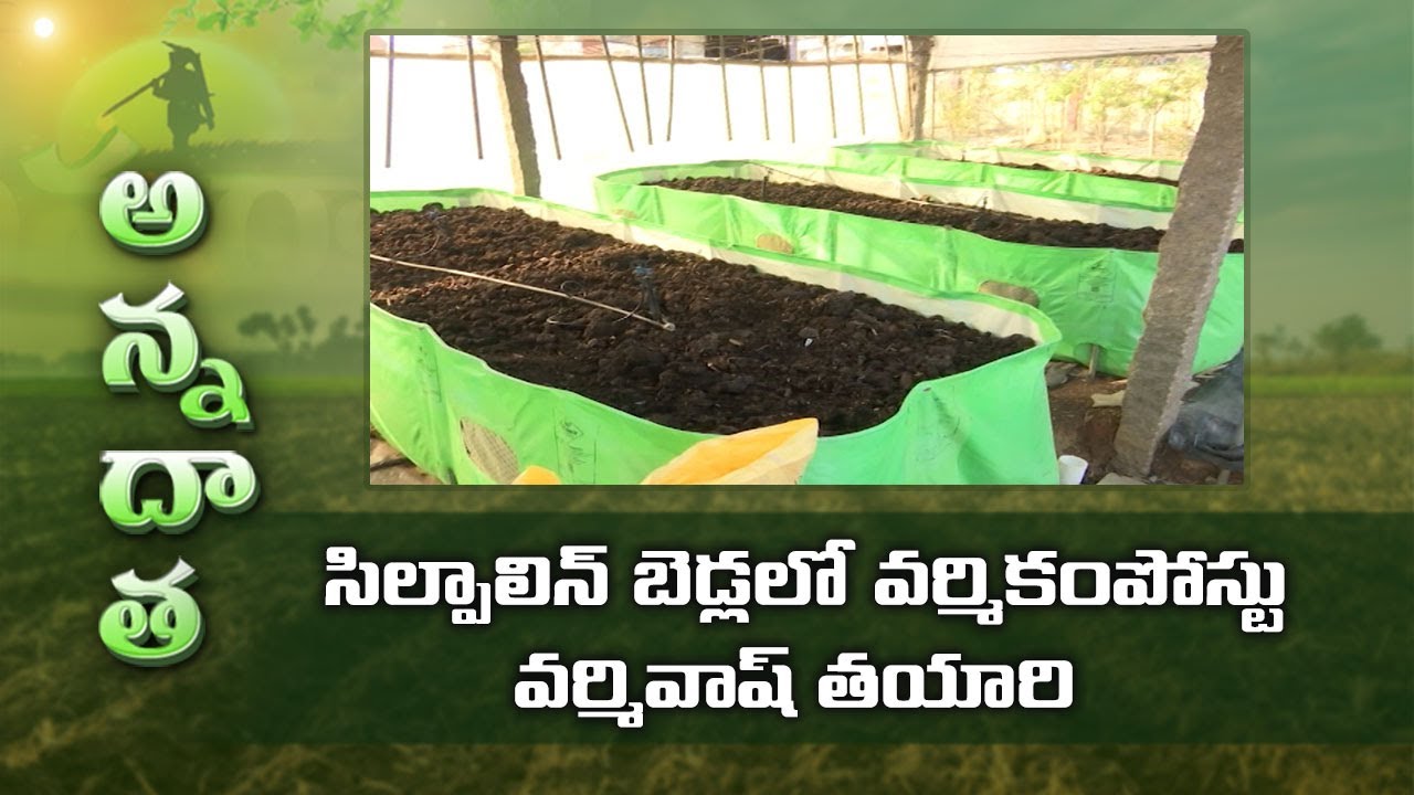 Vermicompost & Vermiwash Preparation Using Silpaulin Beds