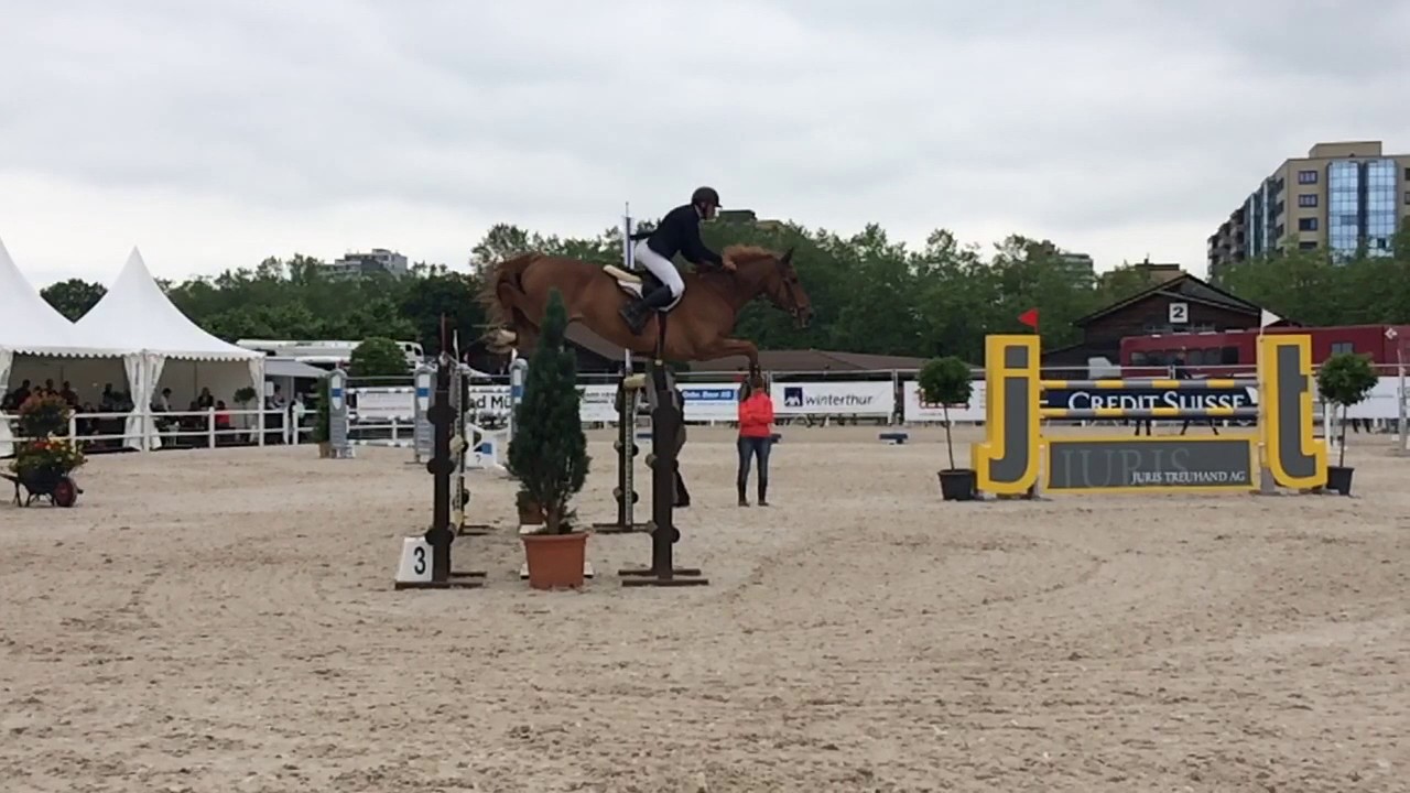 Pferd springt slowmotion