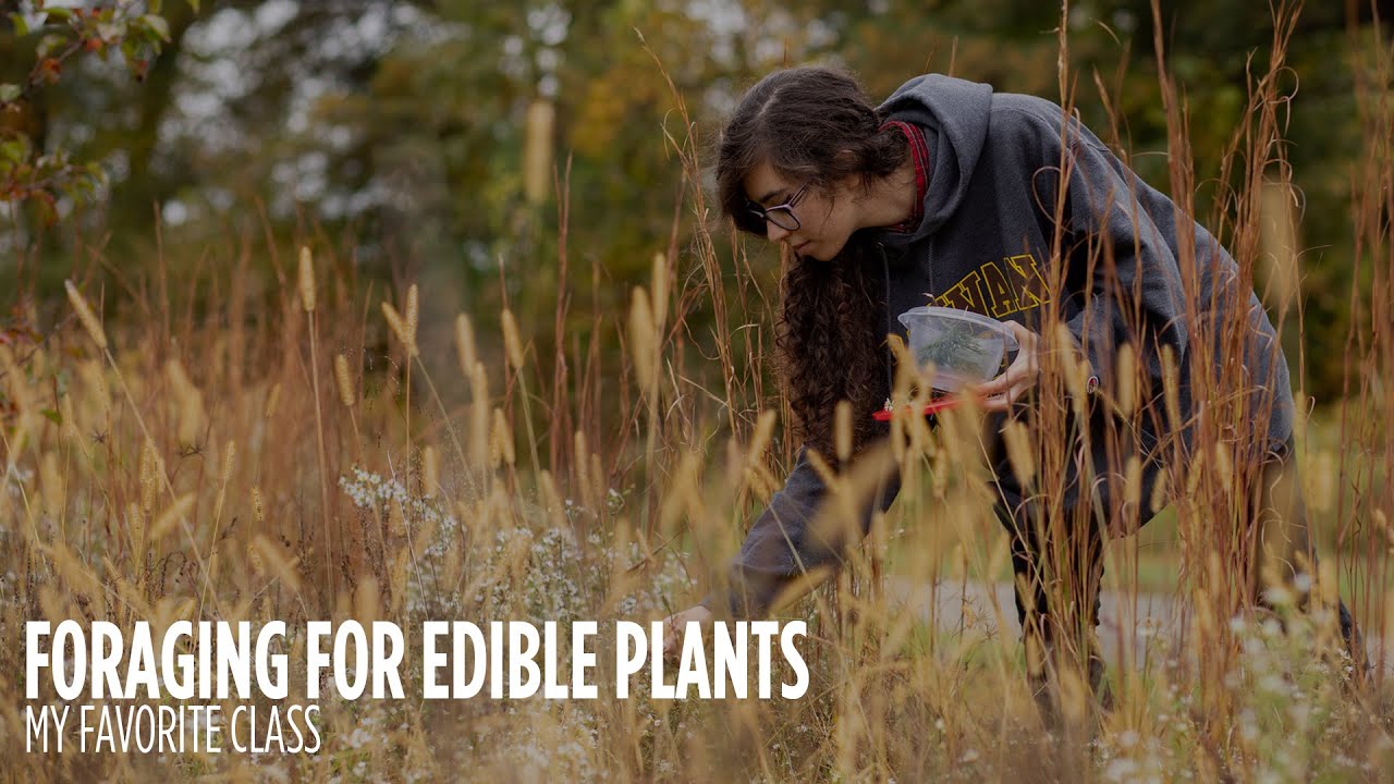 My Favorite Class | Foraging for Edible Plants 🌿