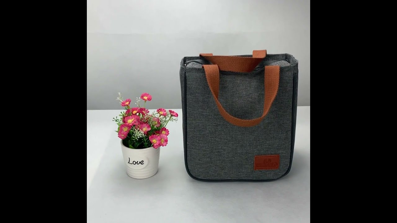 Cheap Easy To Clean Simple Waterproof Insulated Large Adult Lunch Tote Bag For Men & Women