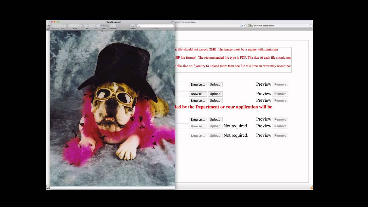 Arizona Medical Marijuana Card - How To Do The Online Application Process