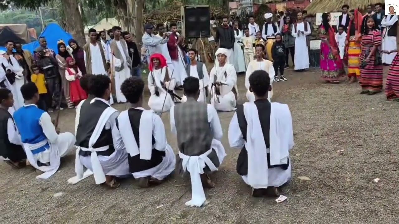 The most beautiful dance in Eritea and Sudanاجمل رقصة في ارتريا و السودان #sudanesemusic