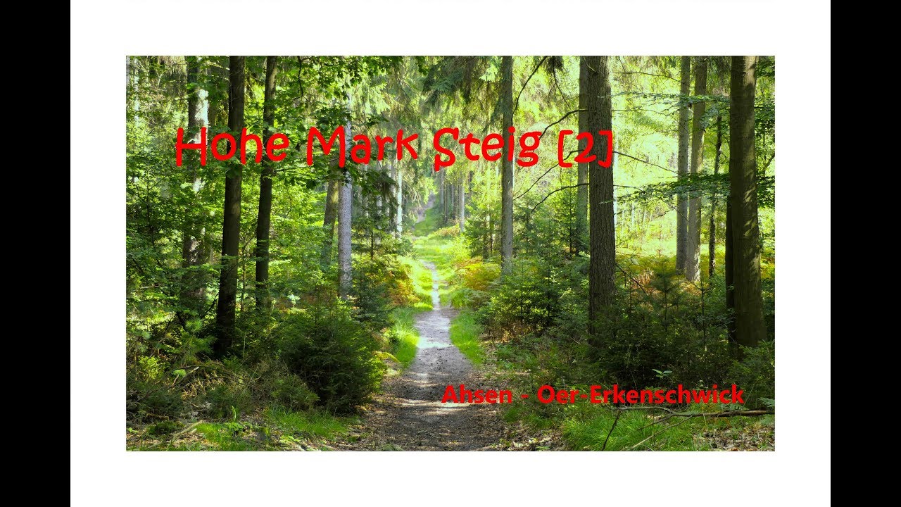 Hohe Mark Steig 2 Ahsen - Oer-Erkenschwick