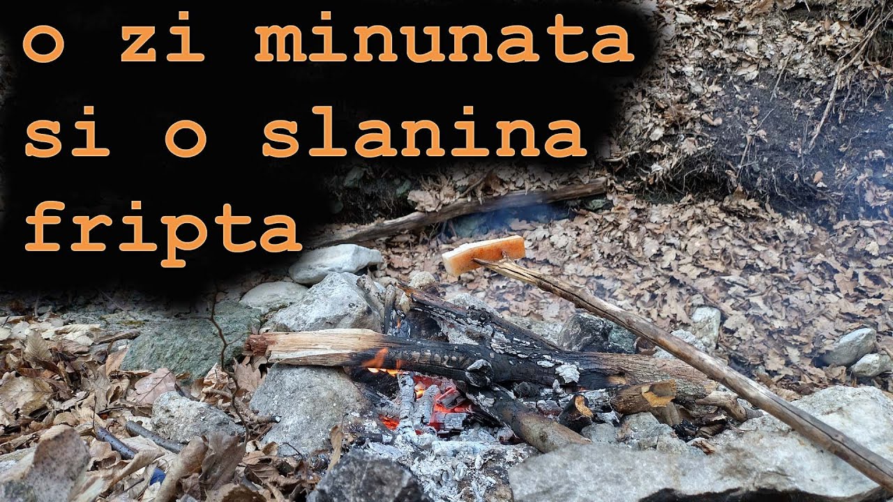 o pita cu slanina fripta la padure/hard use cold steel recon1