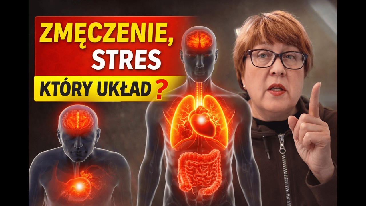 Ciągłe zmęczenie, stres i problemy zdrowotne? Sprawdź, kt&oacute;ry z 12 układ&oacute;w organizmu zawodzi