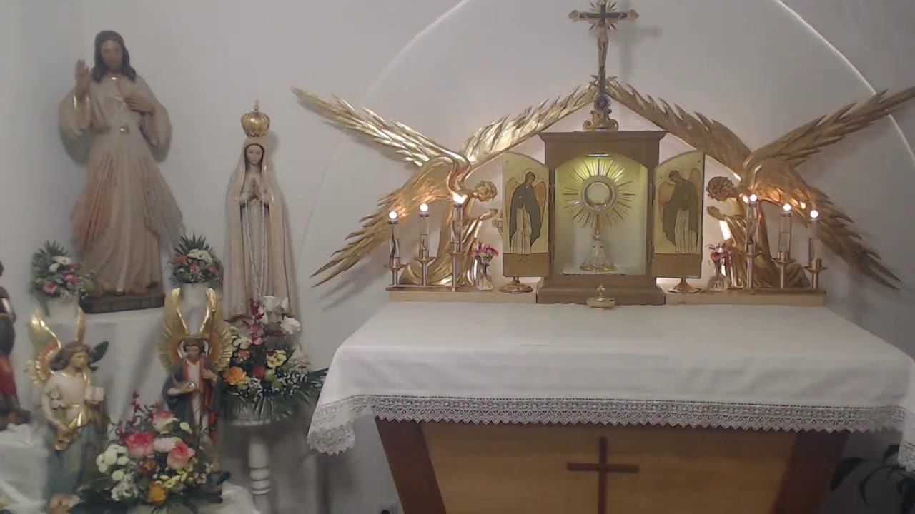 06.02.2026 Hl. Titus, Bischof u. Martyr., hl. Dorothea! 4:00 Uhr