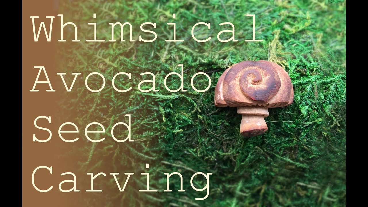 Avocado Seed Stone Carving || Peaceful Art