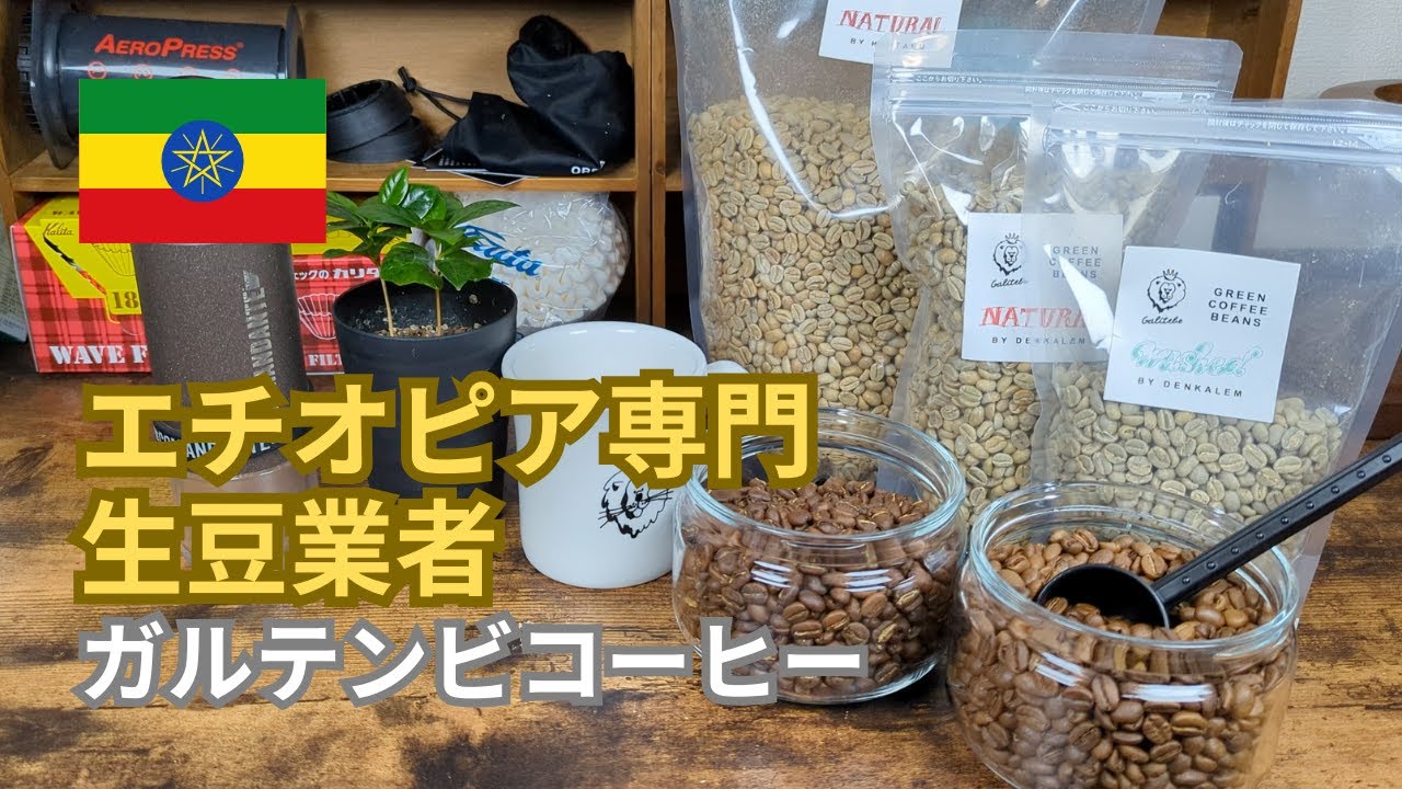 【コーヒー焙煎】エチオピア生豆専門のガルテンビコーヒーを紹介します【Galitebe Coffee, エチオピア, モカ】