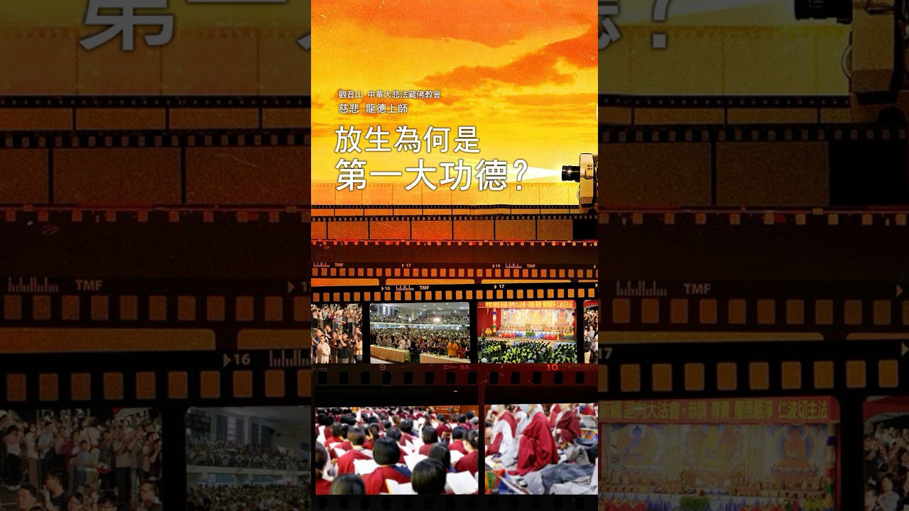 慈悲 龍德上師：放生為何是第一大功德？
