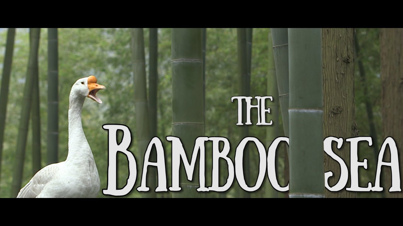 Shunan's Bamboo Sea - 'Crouching Tiger, Hidden Dragon&rsquo;s iconic location  | A China Icons Video