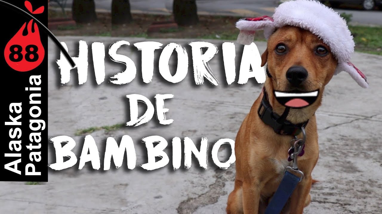 La Historia de Bambino