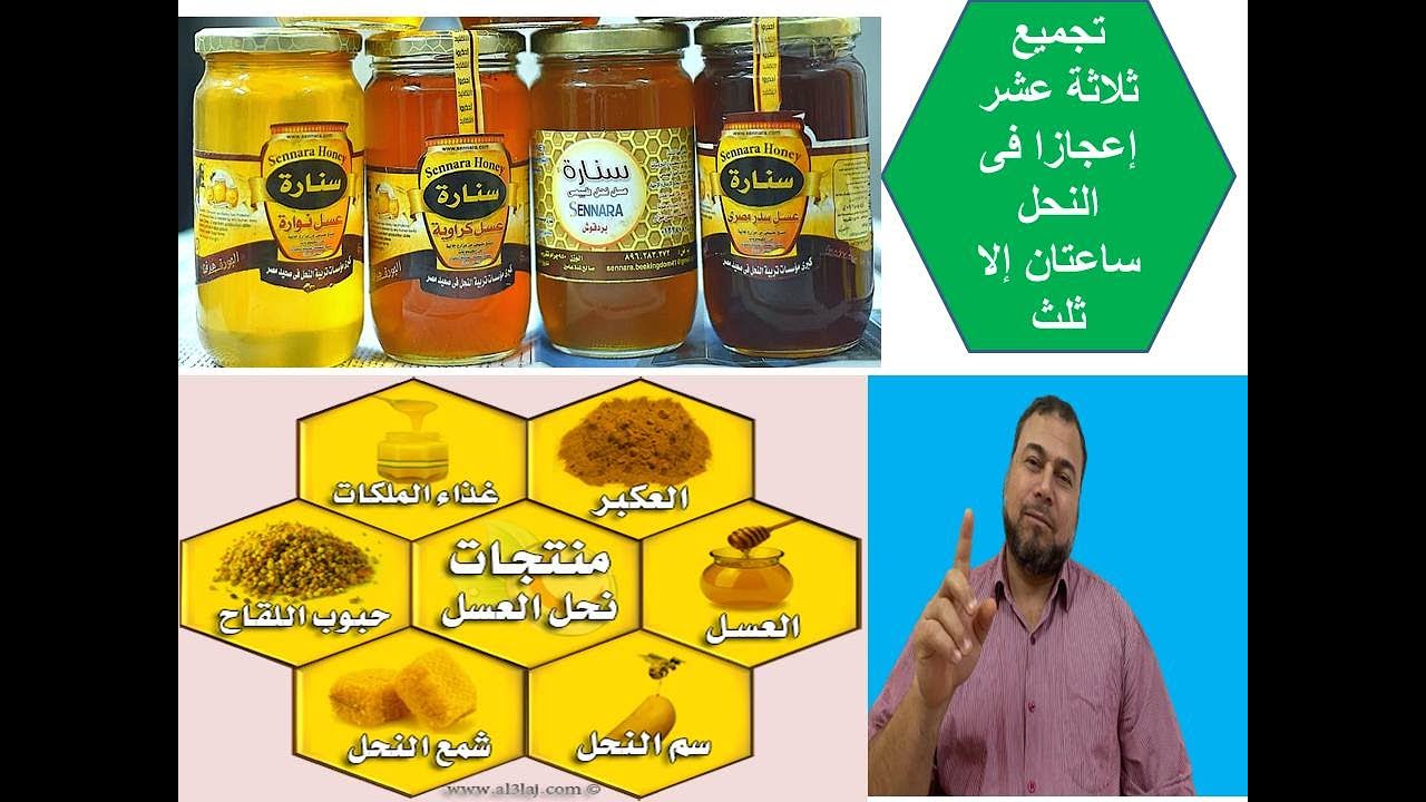 الإعجاز العلمي|ثلاثةُعشرَإعجازاًبآيتين بسورة النحل|سَبْقُ القرآن الكريم| تسع حلقات مجمعة بحلقة واحدة