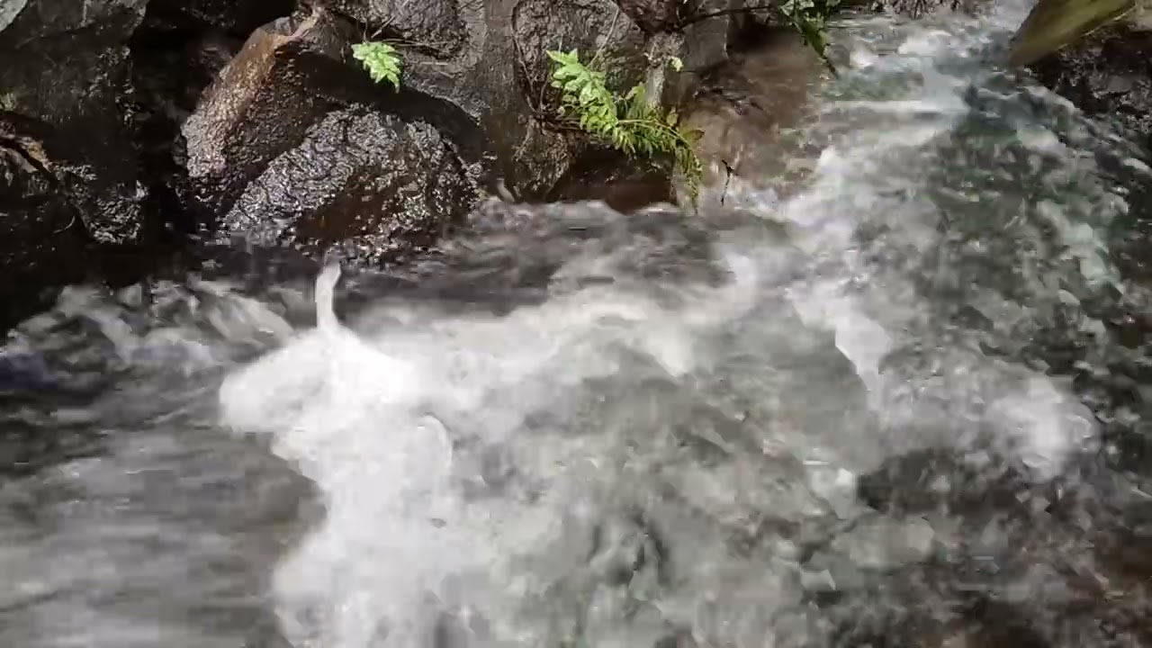 Romantic River Sounds for Calm & Meditation