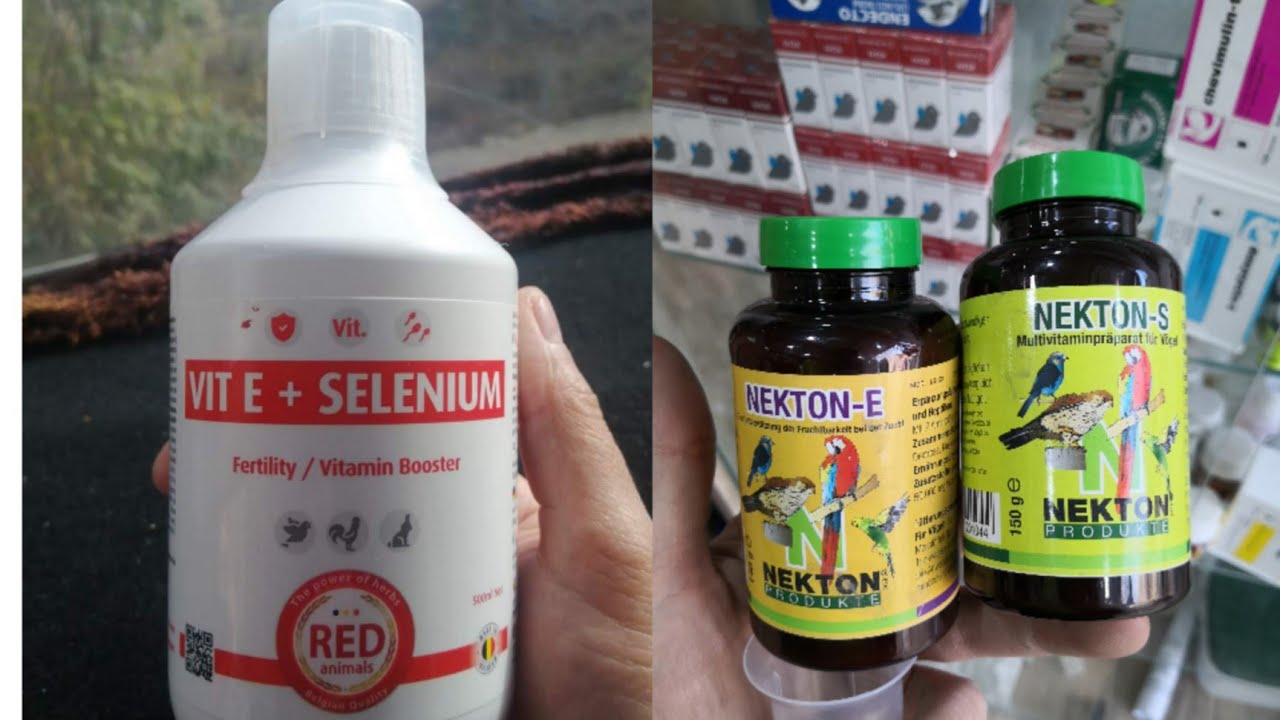الطريقة الصحيحة لتقديم  RED VIT E+SELENIUM NIKTON E و S