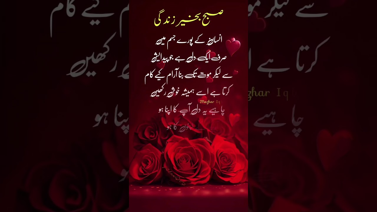 #subha #subahbkhair #quotes #urdu #trending #status #whatsappstatus #ytshorts  #statuswhatsapp #yt