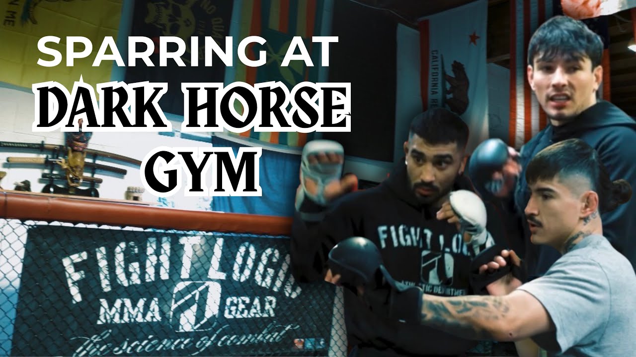 Sparring at Dark Horse