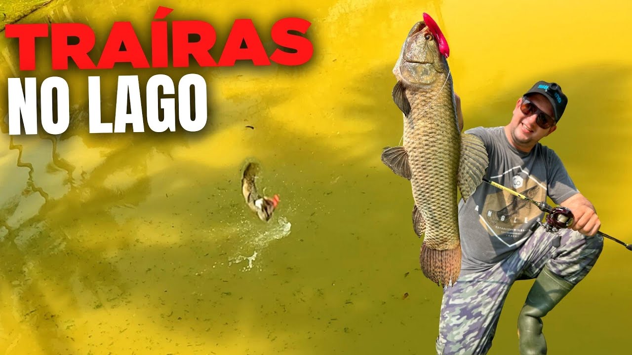 Muitos Ataques de Traíras na Superfície Com Iscas Softs - Pescaria no Lago