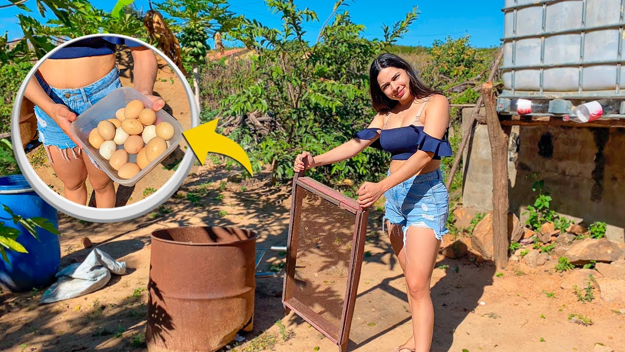 PEGANDO OVOS NO NOSSO QUINTAL