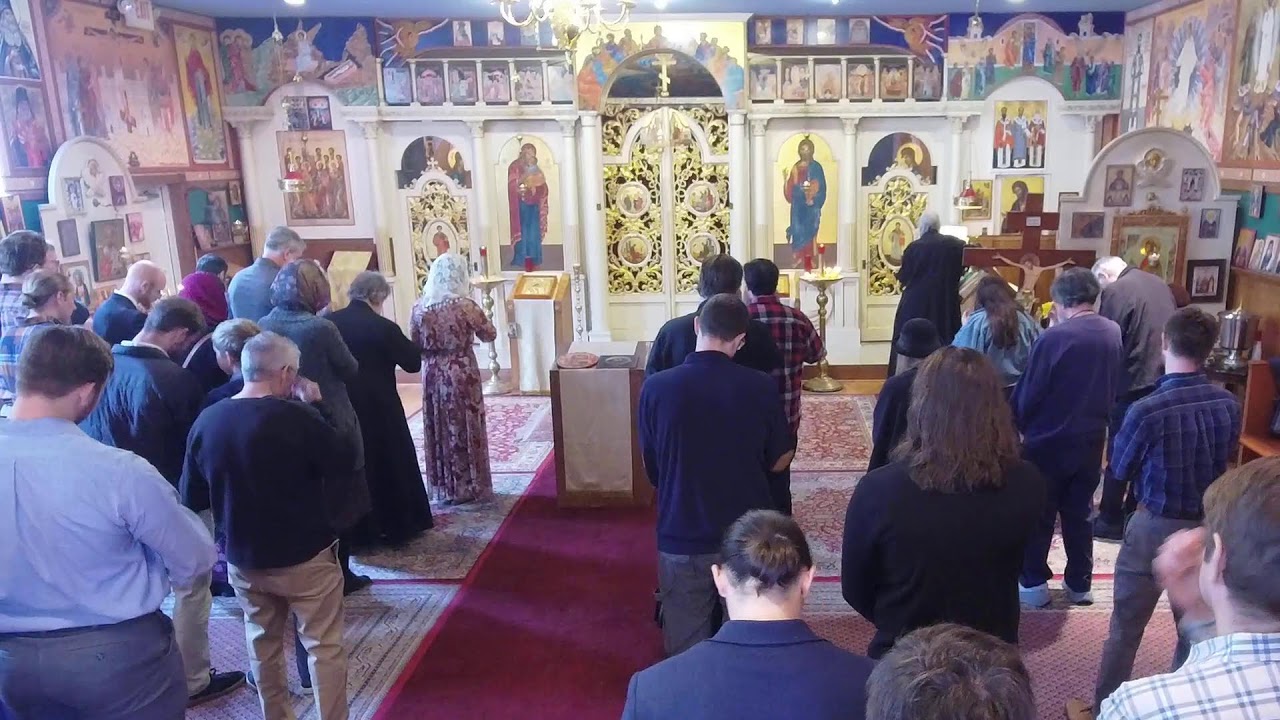 Divine Liturgy for the Sunday of Cheesefare 2/22/26