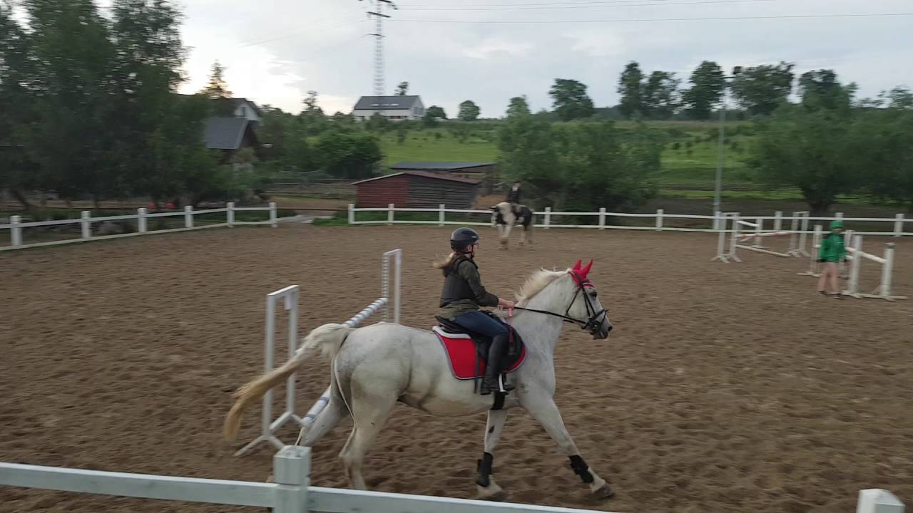 Julia kumaki 1