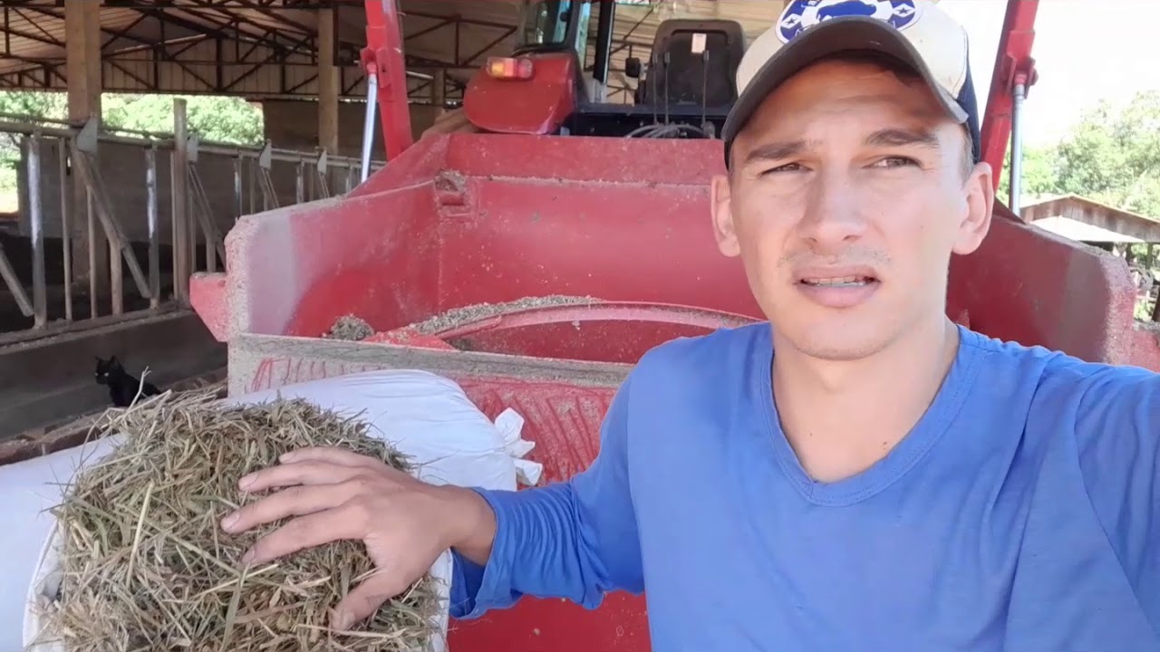 Pré secado em sacos plásticos...