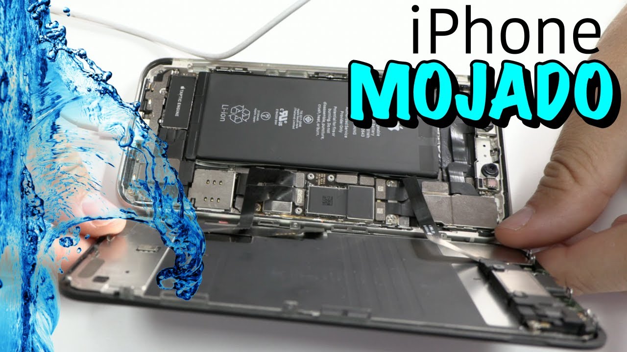 iPhone 11 мокрый не включается