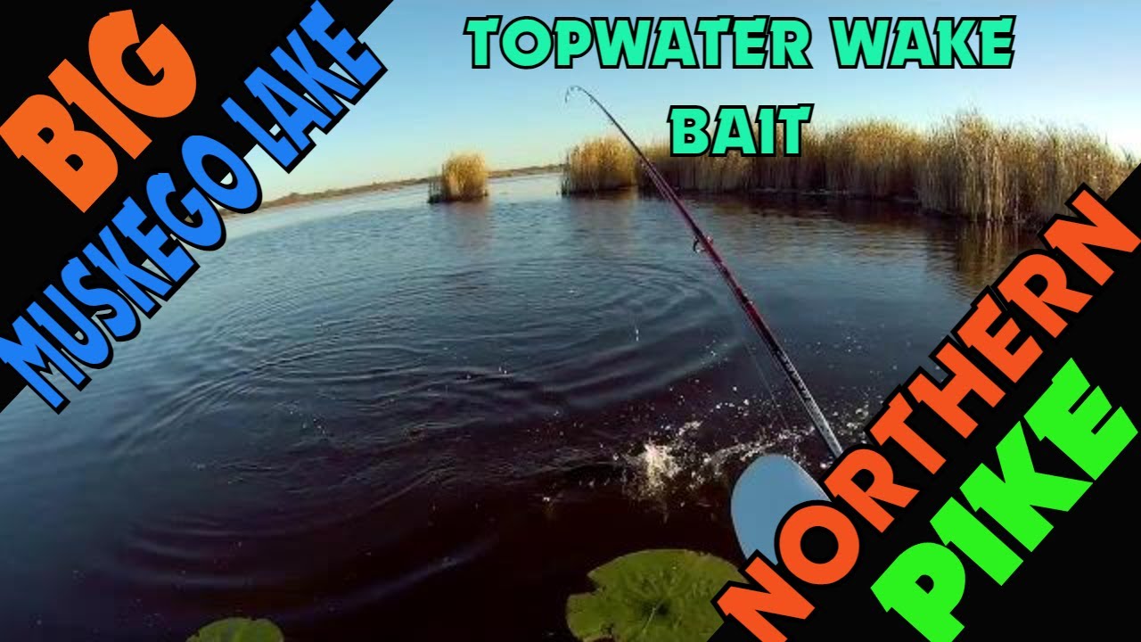Kayak Fishing for Northern Pike on Big Muskego Lake (Southeast Wisconsin)