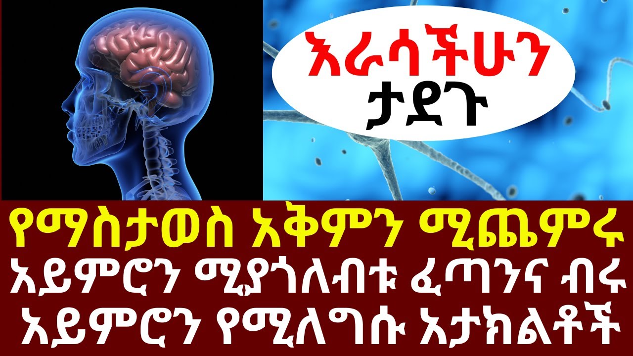 የማስታወስ አቅምን ሚጨምሩ አይምሮን ሚያጎለብቱ ፈጣንና ብሩ አይምሮን የሚለግሱ አታክልቶች ምግቦች| #drhabeshainfo | #brainhealth