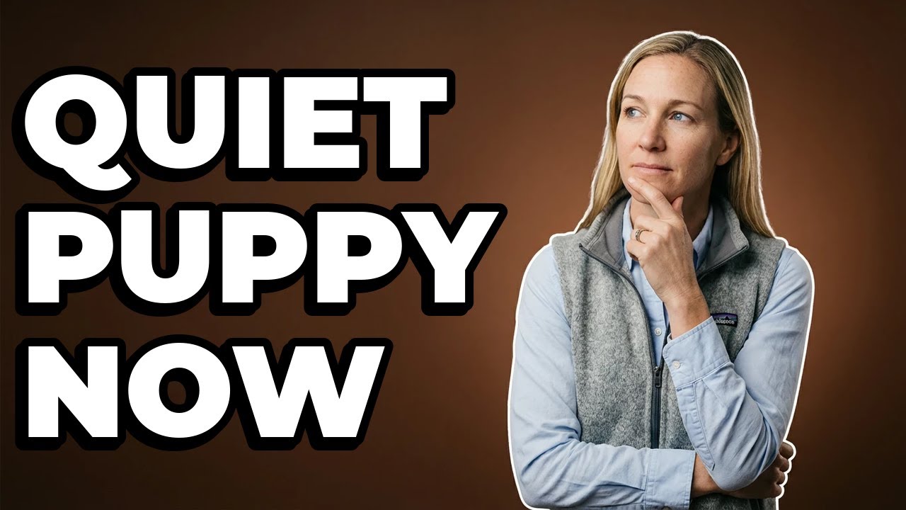 How To Calm A Puppy That Whines Constantly?