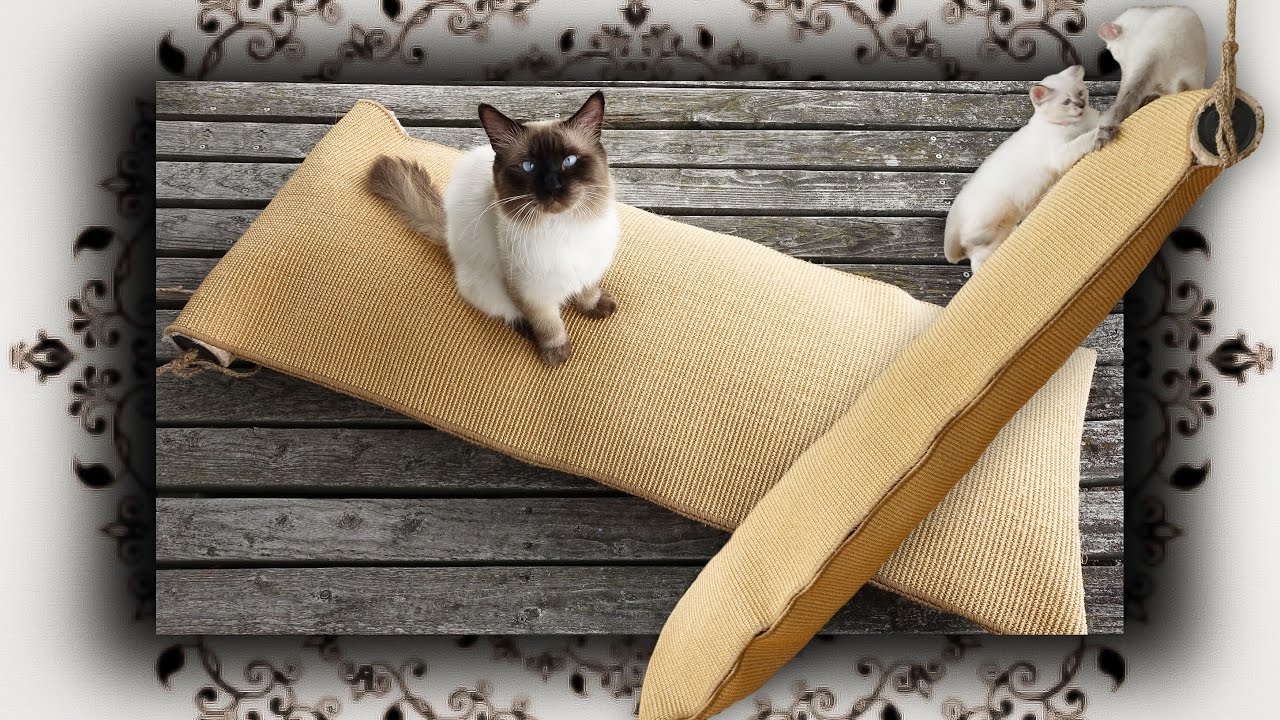 DIY 😻 Kletter Sack für Katzen | climbing bag for cats