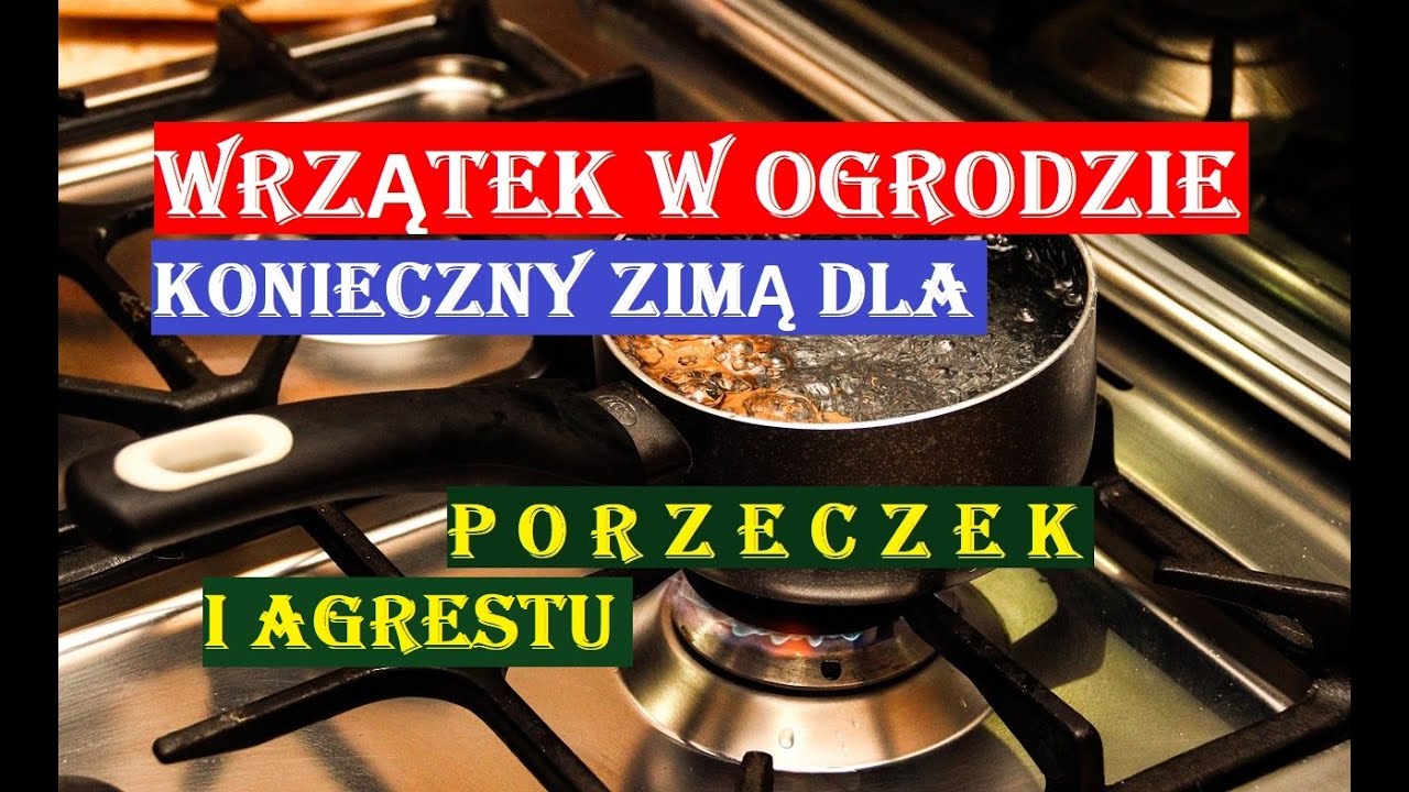 КИПЯЧАЯ ВОДА И СМОРОДИНА – ОБЯЗАТЕЛЬНО ПРИГОТОВЬТЕ В ЭТО ВРЕМЯ ГОДА