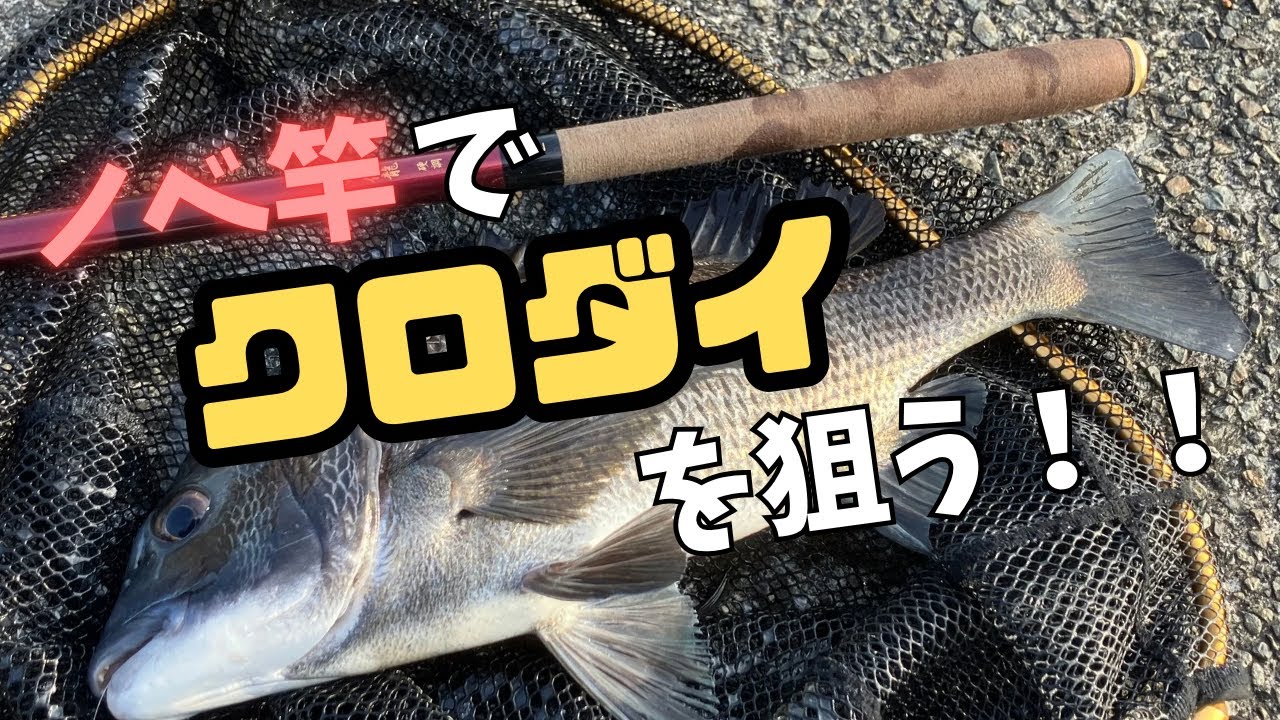 のべ竿でクロダイ釣ろうぜっ！！