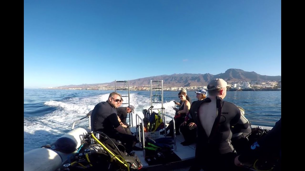 Diving in Tenerife Nov 2024