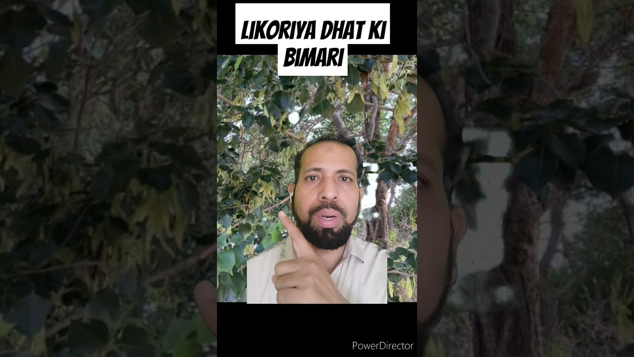 Likoriya aur dhat ka ilaaj 