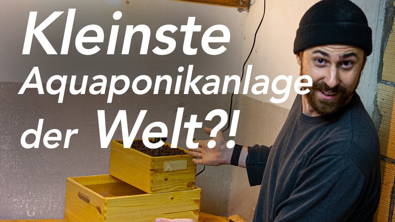 Mini-Aquaponik-Anlage mit Bauanleitung