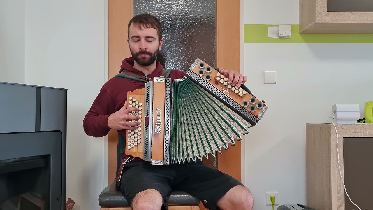 Wenn die Schwalben heimwärts ziehen - Steirische Harmonika 🎶🪗