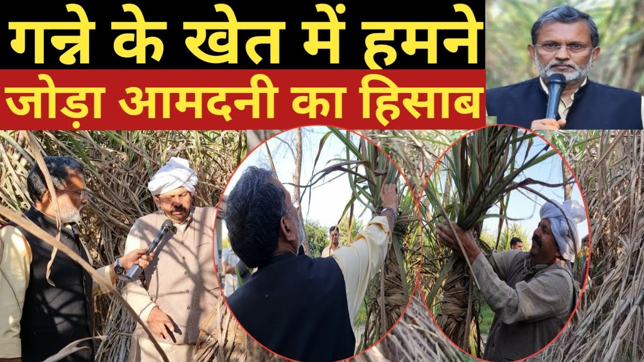 NareshTikait के साथ गन्ने के खेत में किसानों की आमदनी का कैलकुलेशन - Ajit Anjum
