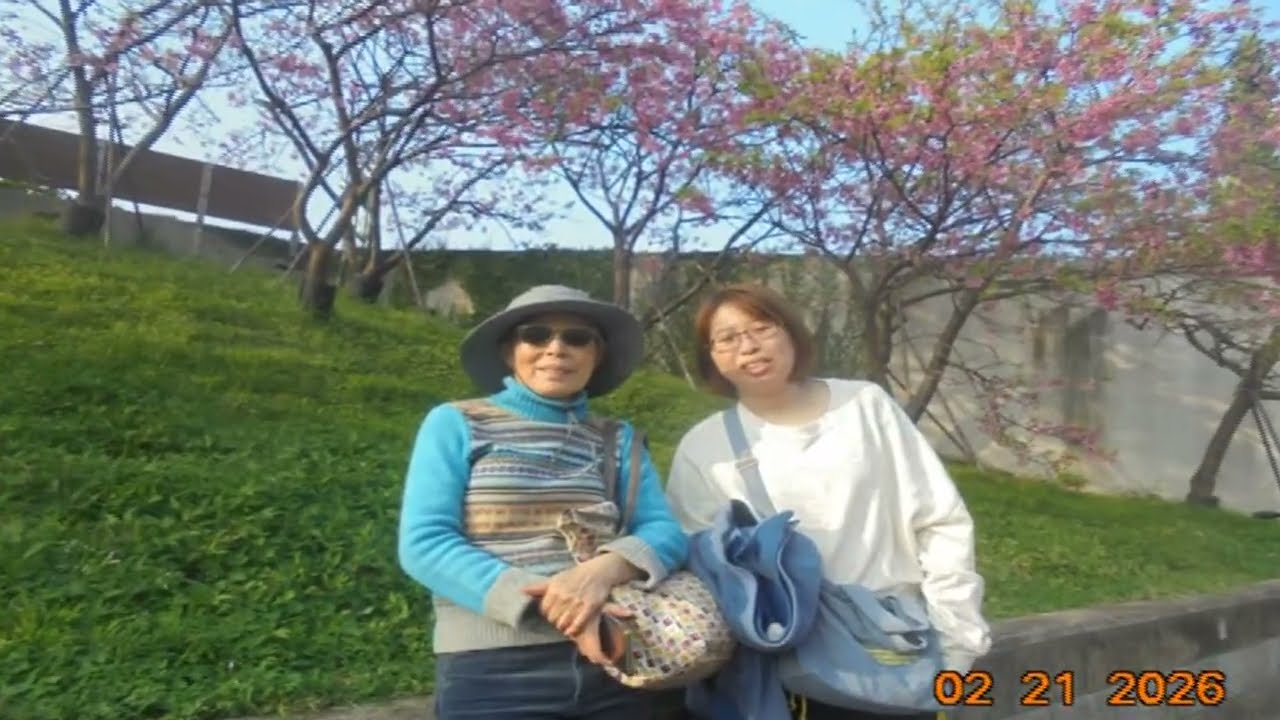 20260221內湖樂活公園 內溝溪賞櫻 + Piano Music 鋼琴演奏「世界這麼大還是遇見你」夜色鋼琴曲 Yese Piano【趙海洋鋼琴曲】