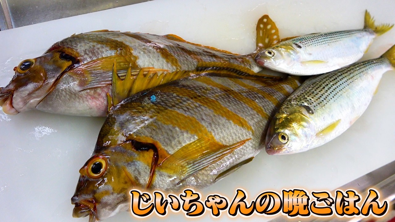 春のコノシロとタカノハダイの煮付けで釜炊きご飯が進む！進む！！