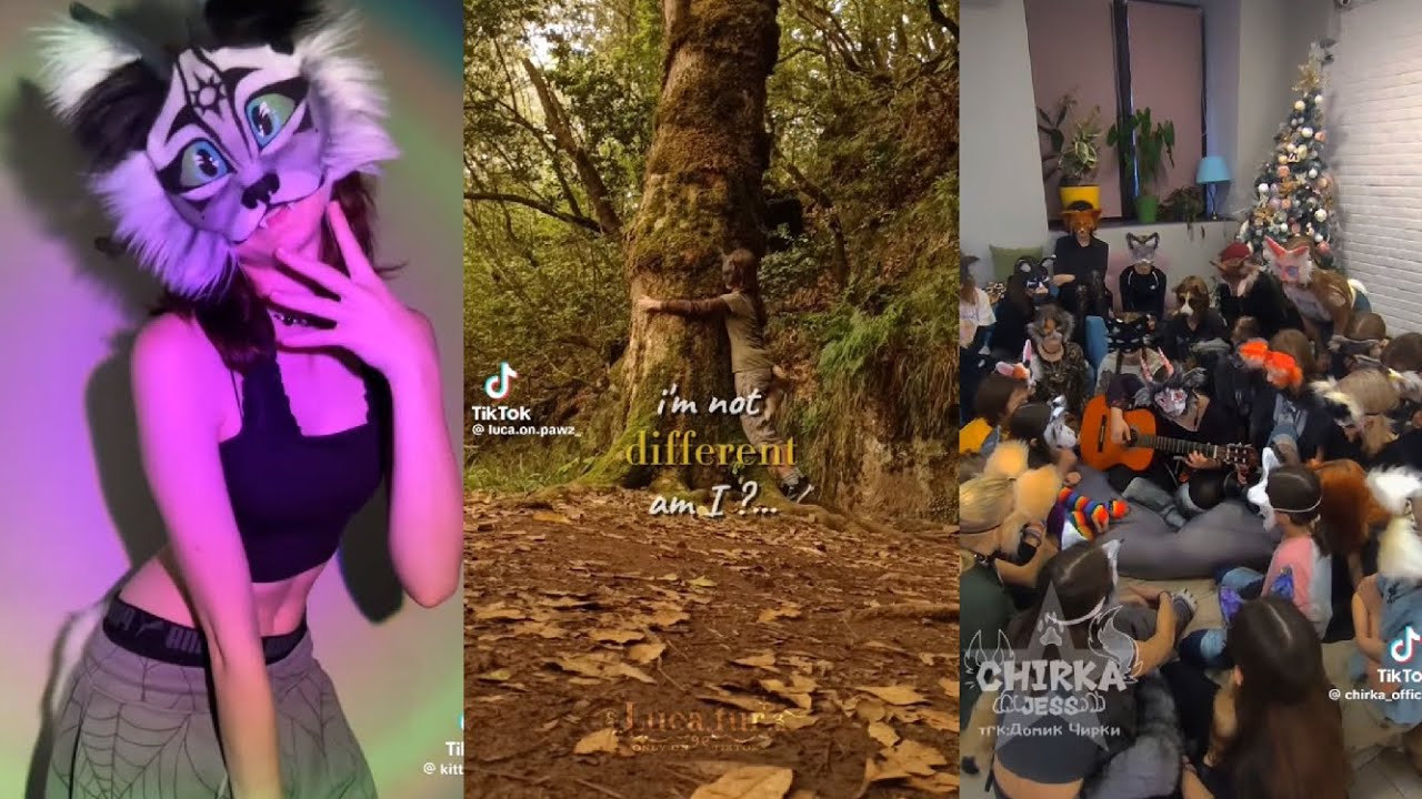 Quadropics/Alterhuman Tiktok Comp. #3 || Alterhuman Community 🌊🦋🍂🍁