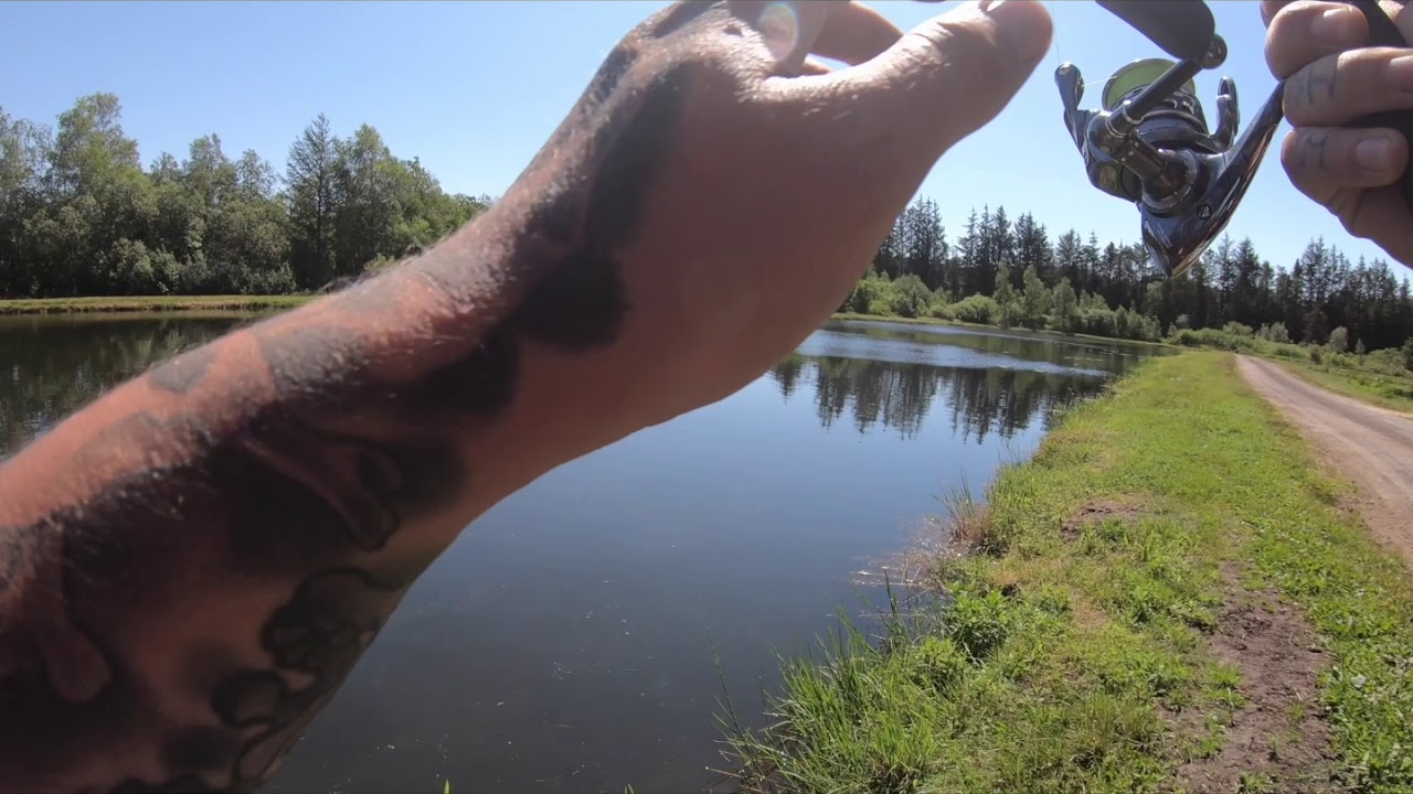 midtjysk lystfiskercenter put and take