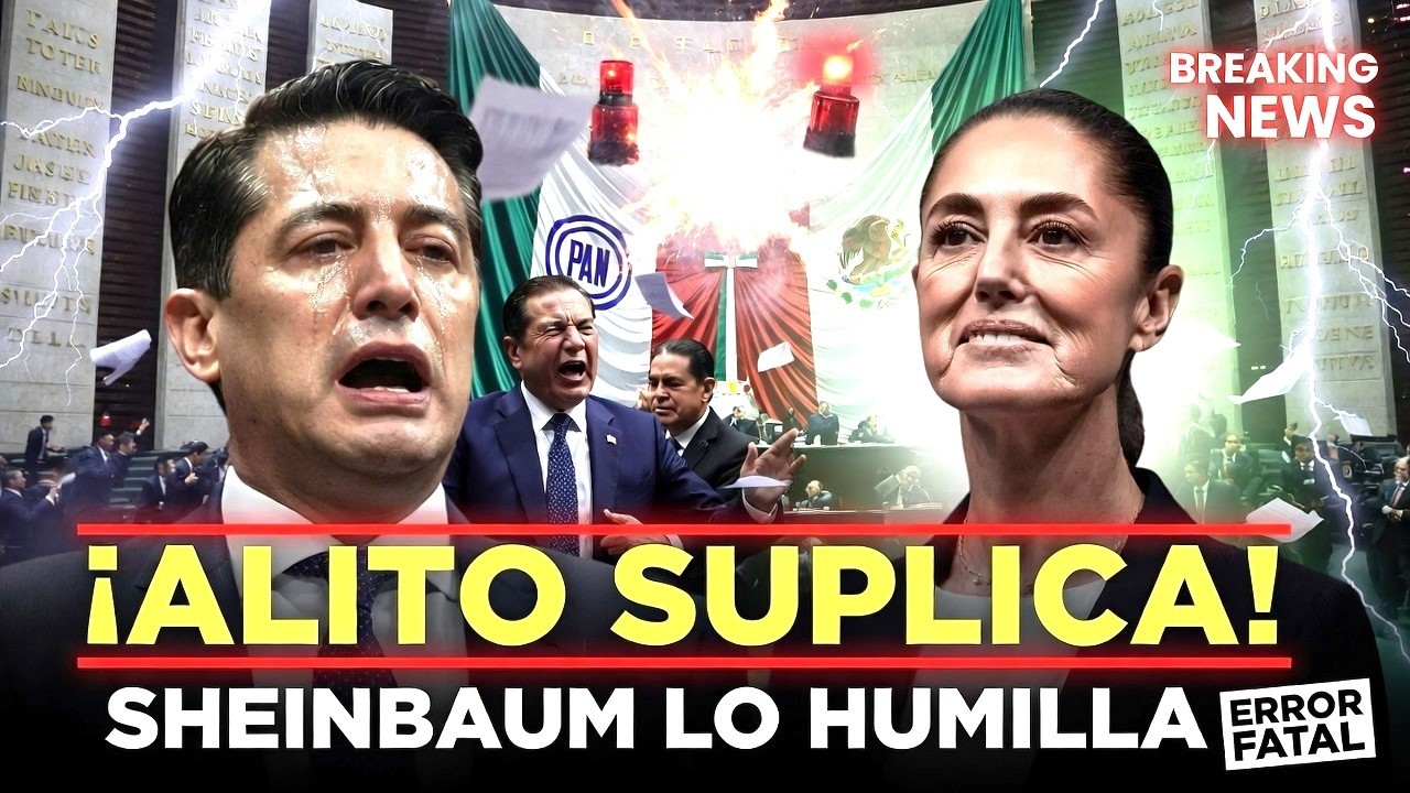 Alito Moreno SUPLICA AYUDA al PAN pero Sheinbaum LO HUMILLO SIN DECIR NADA ¡EL ERROR DE SU VIDA!