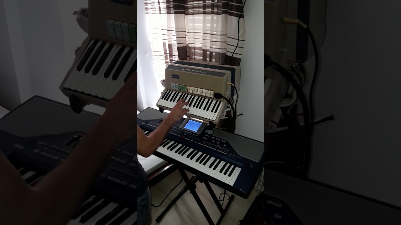 solo tsifteteli farfisa trancicord